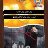 طرح لایه باز تراکت بیمه ایران