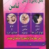 طرح لایه باز تراکت آرایشگاه زنانه